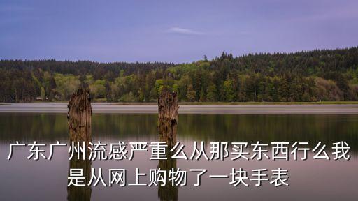 廣州*每天都有很嚴重嗎，廣東廣州流感嚴重么從那買東西行么我是從網上購物了一塊手表