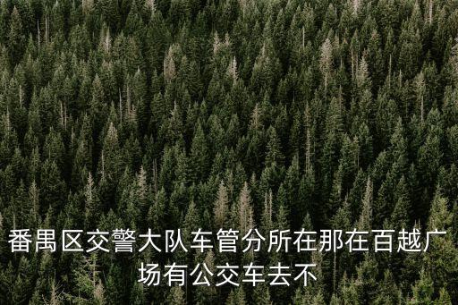 廣州番禺區(qū)石樓屬哪個(gè)車管所，番禺區(qū)交警大隊(duì)車管分所在那在百越廣場有公交車去不