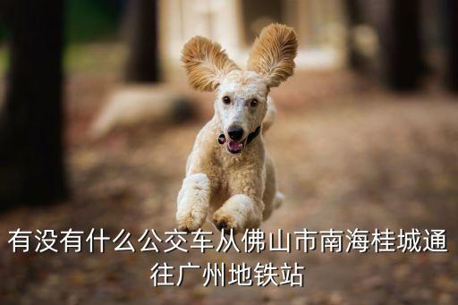 有沒有什么公交車從佛山市南海桂城通往廣州地鐵站