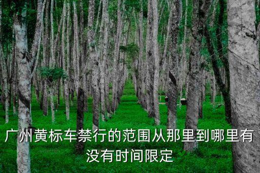 廣州黃碼重點區域，健康碼黃碼能出行嗎