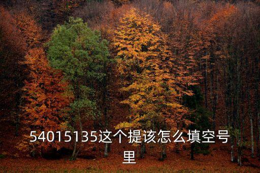 廣州*補(bǔ)充通告15號(hào)，54015135這個(gè)提該怎么填空號(hào)里