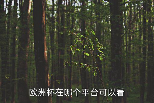 廣州*2021年6月11日，歐洲杯在哪個(gè)平臺(tái)可以看