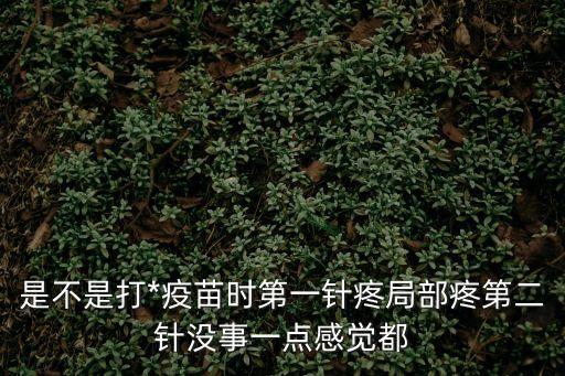 是不是打*疫苗時第一針疼局部疼第二針沒事一點感覺都
