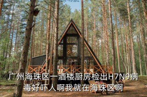 廣州最新海珠區**，廣州市 海珠區