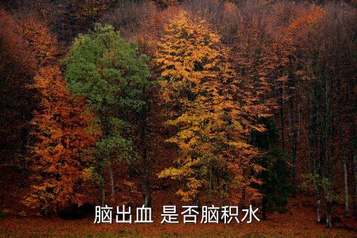 廣州**感染人物關(guān)系圖，腦出血 是否腦積水
