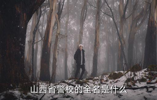 山西警察學(xué)院官網(wǎng)，山西省警校的全名是什么