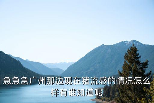 廣州沙埔*情況，廣州確診H1N1甲型流感的人數和具體情況怎么了