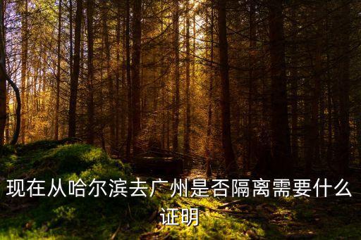*期間出廣州需要什么資料，現在從哈爾濱去廣州是否隔離需要什么證明