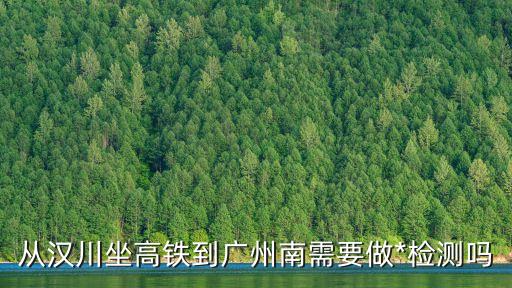 打完疫苗去廣州用不用做*，從漢川坐高鐵到廣州南需要做*檢測嗎