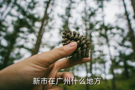 新市在廣州什么地方