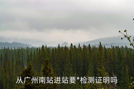 從廣州南站進站要*檢測證明嗎