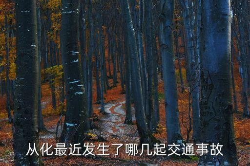 廣州從化大貨車撞樹枝，從化最近發生了哪幾起交通事故