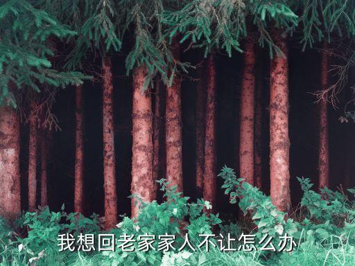 廣州*我想回老家了，*回老家是自己去報到還是他們會來查呀我爸他們沒這個意識我又