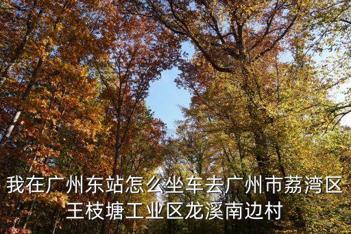 我在廣州東站怎么坐車去廣州市荔灣區王枝塘工業區龍溪南邊村