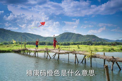 廣州穗康碼突然變橙色，來廣州十五天了穗康嗎怎么還沒變綠呀