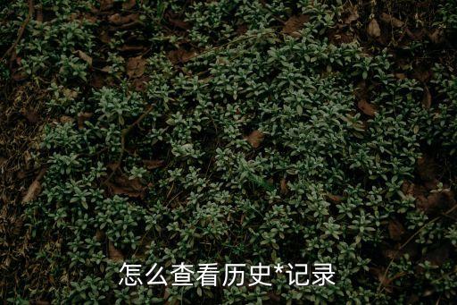 怎么查看歷史*記錄