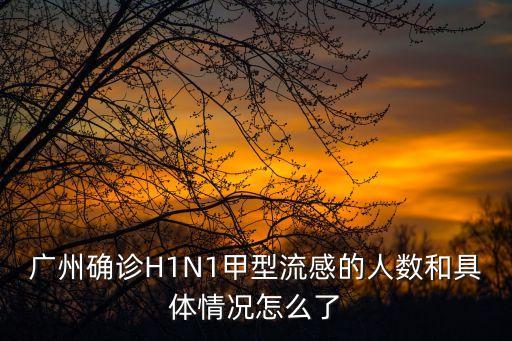 廣州確診H1N1甲型流感的人數(shù)和具體情況怎么了