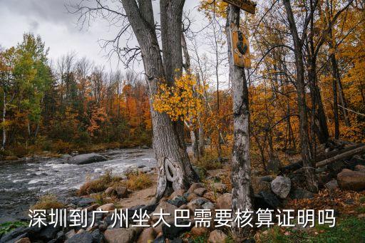 深圳福田去廣州天河要*檢測(cè)嗎，深圳到廣州坐大巴需要核算證明嗎