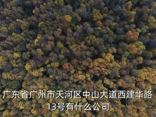 廣東省廣州市天河區中山大道西建華路13號有什么公司