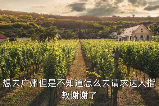 從外地進廣州要做*嗎，想去廣州但是不知道怎么去請求達人指教謝謝了