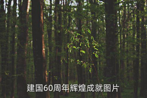成功圖片，想問下建設(shè)銀行網(wǎng)上轉(zhuǎn)賬成功的圖片是這樣