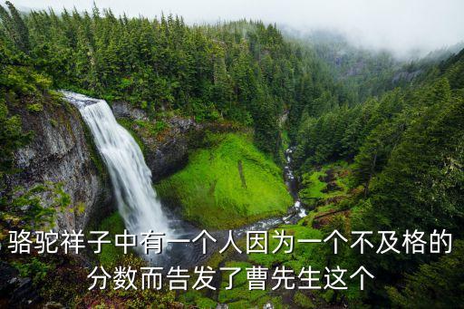 駱駝祥子中有一個人因為一個不及格的分?jǐn)?shù)而告發(fā)了曹先生這個
