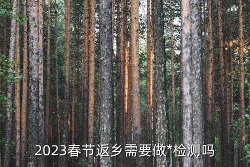 廣州全員*檢測有多少人，2023春節返鄉需要做*檢測嗎