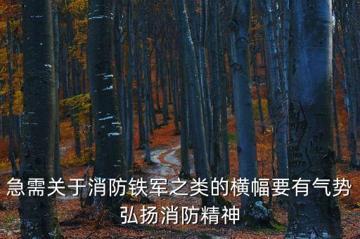 急需關(guān)于消防鐵軍之類的橫幅要有氣勢弘揚消防精神