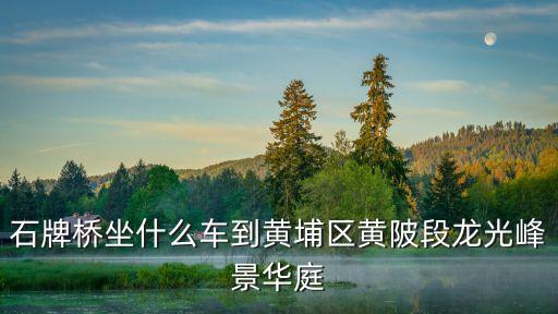 廣州黃埔龍光峰景華庭*，誰知道廣州蘿崗萬科新里程這里有稍微好點的牙科啊小診所消毒怕