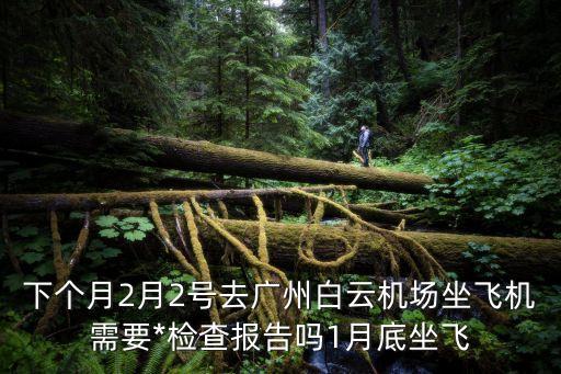 現在可以在廣州坐飛機嗎，廣州今天航班都能飛