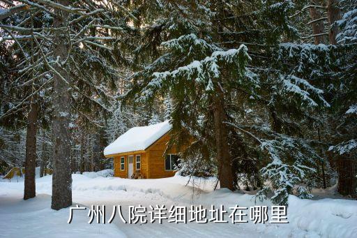 廣州*第八醫院在哪個區，廣州市第八人民醫院在哪個區
