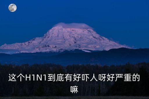 這個H1N1到底有好嚇人呀好嚴重的嘛
