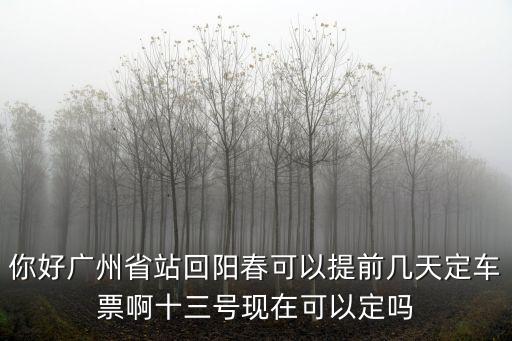 廣州*陽春，你好廣州省站回陽春可以提前幾天定車票啊十三號現(xiàn)在可以定嗎