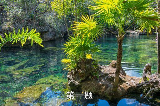 廣州通報溯源最新進展，我繼續小白中通知有新的系統消息怎么看