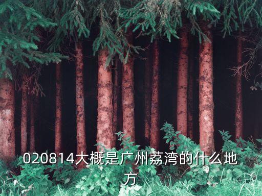 廣州荔灣區*起源于，020814大概是廣州荔灣的什么地方