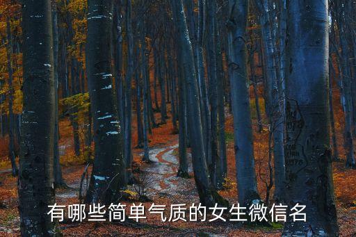 微信名女生簡單氣質，有哪些簡單氣質的女生微信名