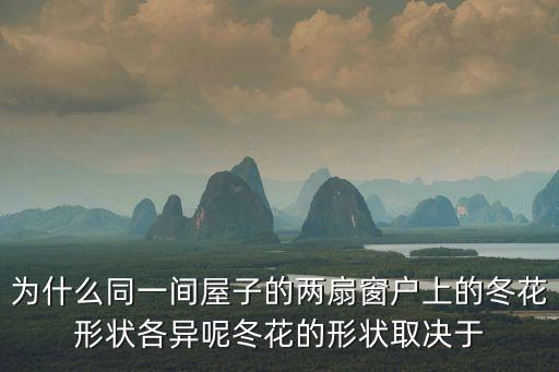 冬花，為什么同一間屋子的兩扇窗戶上的冬花形狀各異呢冬花的形狀取決于