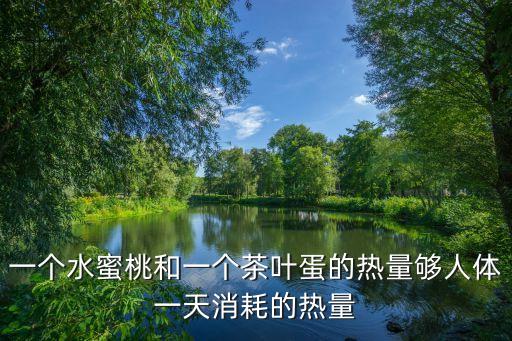 水蜜桃熱量，吃水蜜桃能不能減肥
