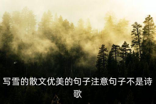 描寫雪的唯美句子，寫雪的散文優(yōu)美的句子注意句子不是詩(shī)歌