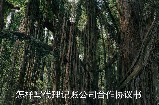 代理記賬協議，怎樣寫代理記賬公司合作協議書