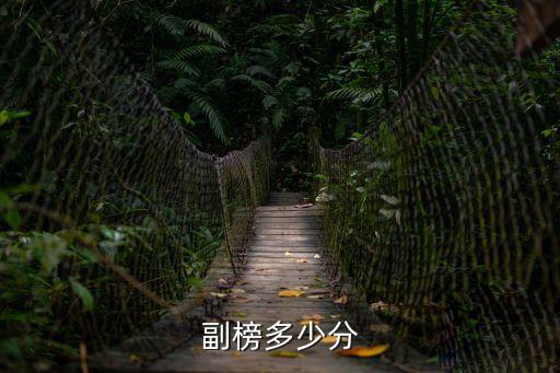 副榜，副榜多少分