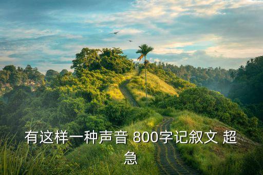 有這樣一種聲音，有這樣一種聲音 800字記敘文 超急