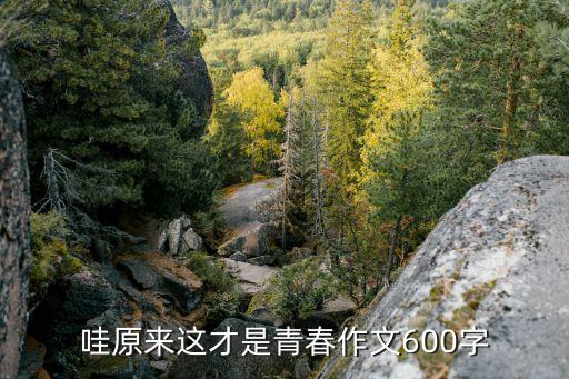 這才是青春600字作文，哦原來這才是青春作文700