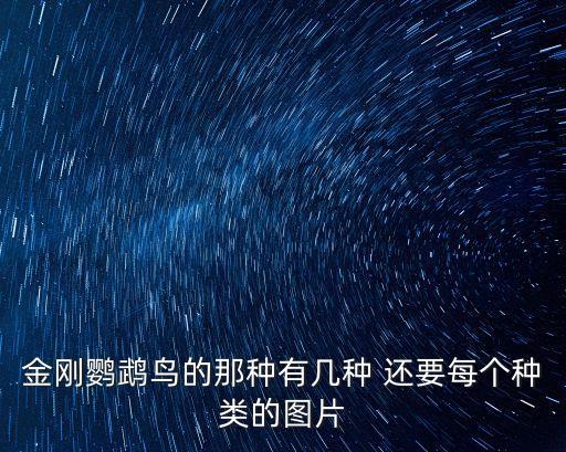金剛鸚鵡圖片，藍(lán)黃金剛鸚鵡與 藍(lán)喉金剛鸚鵡 的 區(qū)別