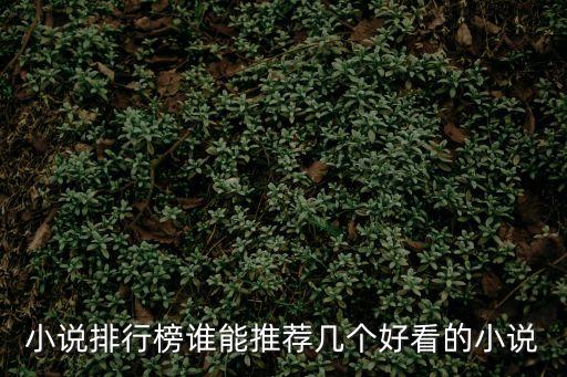 小說排行榜誰能推薦幾個好看的小說
