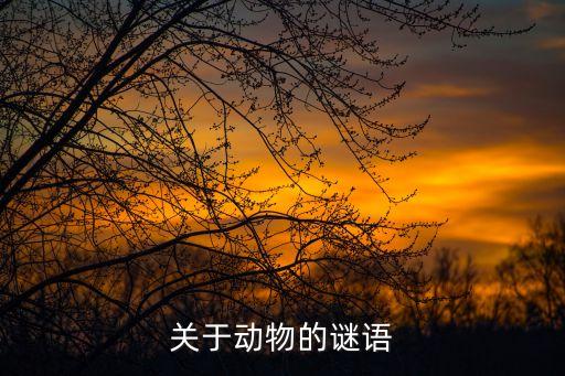 有關動物的謎語，關于動物的謎語