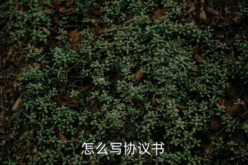 協議書怎么寫范文，協議書模板