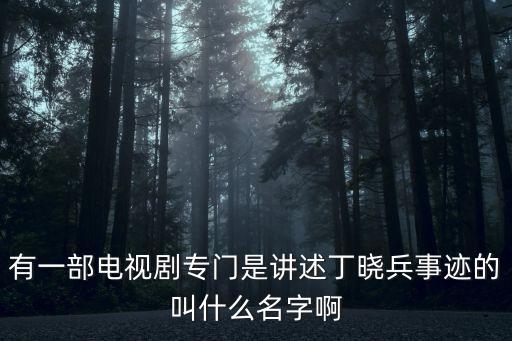 獨臂英雄丁曉兵，有一部電視劇專門是講述丁曉兵事跡的叫什么名字啊