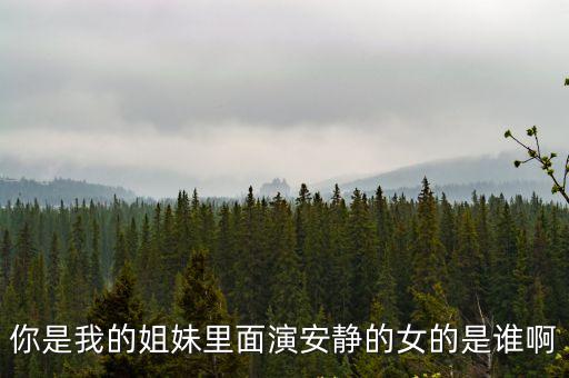 你是我的姐妹安靜，你是我的姐妹安靜砸車是第幾集