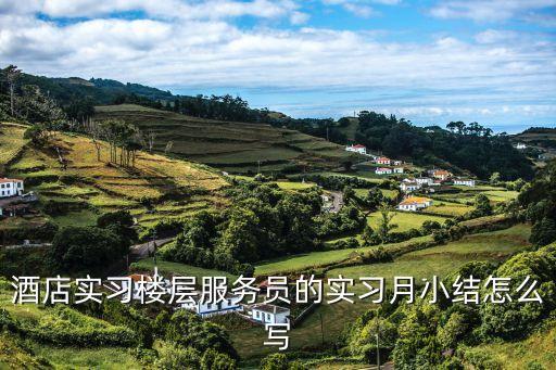 服務員實習報告，客房服務員試用期工作總結